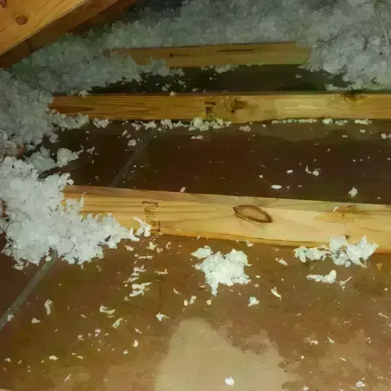 Attic Water Damage in Markham, TX