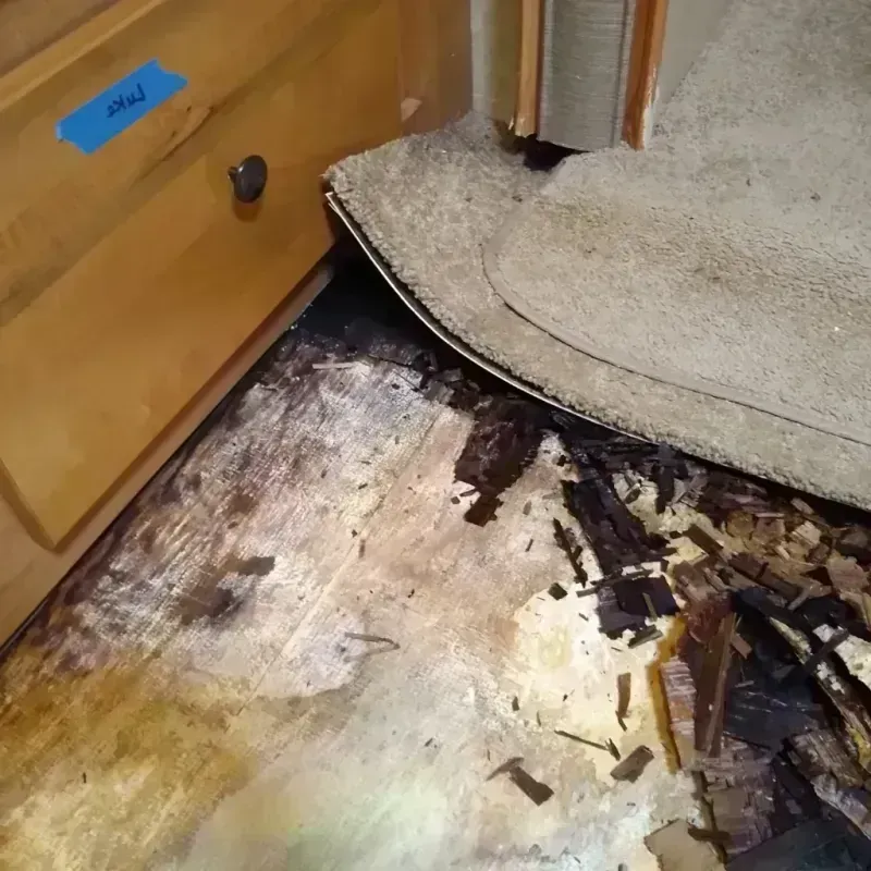 Wood Floor Water Damage in Markham, TX